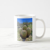 Cactus de barril 4 tazas de café