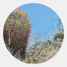 Cactus de barril un cactus en el desierto Cact de  Etiqueta Redonda