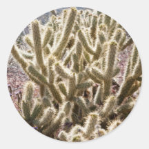 Cactus de la asta pegatina