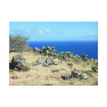 Cactus de Makapuu Impresiones En Lona