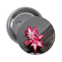 Cactus de navidad 2 pin