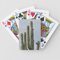 Cactus del Saguaro del desierto de Sonoran cartas de juego