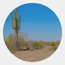 Cactus del Saguaro en el camino solo del desierto Pegatina