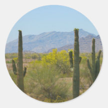 Cactus del Saguaro Etiqueta Redonda