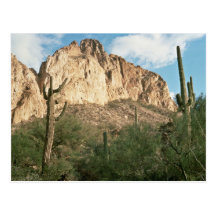 Cactus del Saguaro Tarjetas Postales