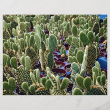 Cactus, desierto de Microdasys-albispina de la Opu Tarjetones