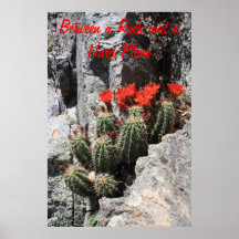 Cactus en la roca posters