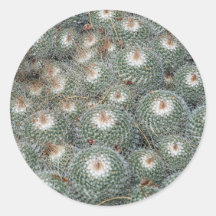 Cactus en los jardines botánicos del desierto, Pho Etiqueta