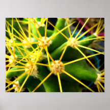 Cactus espinoso poster