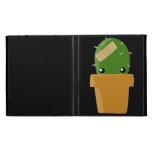 Cactus lindo