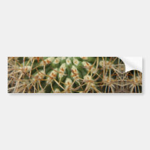 Cactus mayo de 2013 pegatina de parachoque