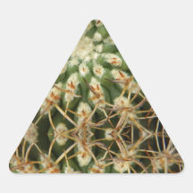 Cactus mayo de 2013 pegatina de trianguladas