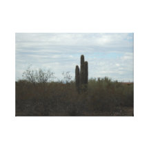 Cactus natural lona estirada galerias