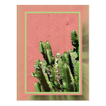 Cactus Postales