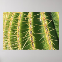 Cactus Impresiones