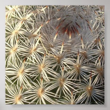 Cactus Impresiones