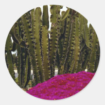 Cactus y desierto tropical de las flores pegatina redonda