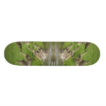 Cada uno hacia fuera tablas de skate