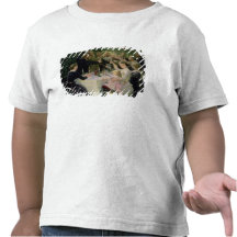 ¡Cadera de la cadera Hurrah! El fiesta de los arti Camisetas