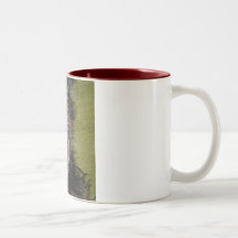 Café Taza