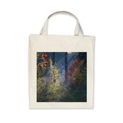 Caída de Vermont del bosque de la mañana Bolsa