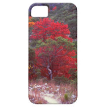 Caída iPhone 5 Case-Mate Coberturas