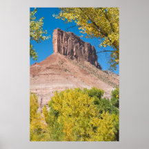 Caída y la palizada de la entrada poster