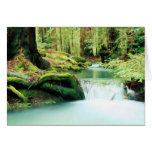 Caídas de Green River Tarjeta