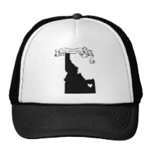 Caídas de Idaho Gorro De Camionero