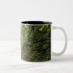 Caídas de Latourell y garganta del río Columbia de Tazas De Café
