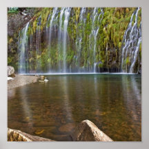 Caídas de Mossbrae del ~, ~ de California Poster