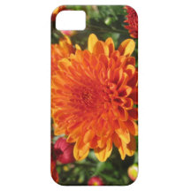 Caja anaranjada de Iphone del sueño de la flor iPhone 5 Case-Mate Protectores