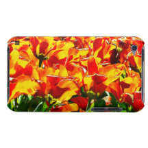 Caja anaranjada de la casamata del tacto de IPod d Case-Mate iPod Touch Carcasa