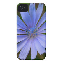 Caja azul de Iphone de la flor Case-Mate iPhone 4 Cobertura
