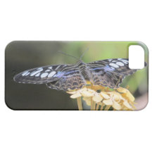 Caja azul del iPhone de la mariposa de las podador iPhone 5 Case-Mate Coberturas