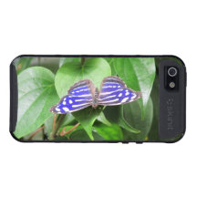 Caja azul del teléfono de la mariposa de la onda