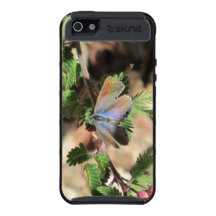 Caja azul del teléfono de la mariposa de Reakirt