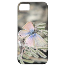 Caja azul marina del iPhone 5 de la mariposa iPhone 5 Protector