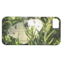 Caja blanca a cuadros del iPhone 5 de la mariposa iPhone 5 Case-Mate Cárcasas