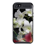 Caja blanca hermosa de Skinit de las orquídeas iPhone 5 Fundas