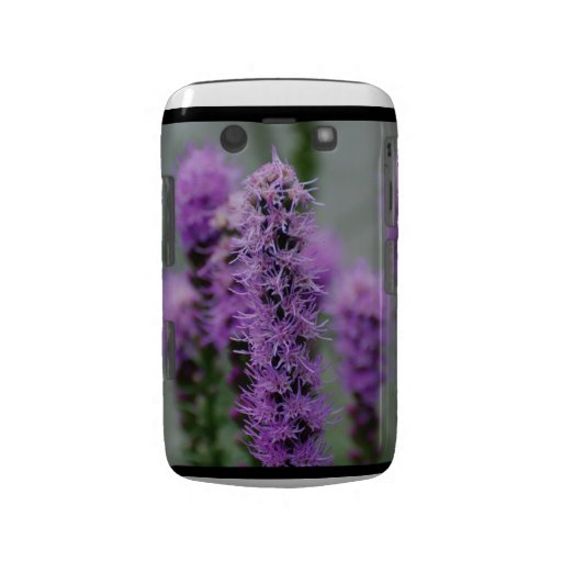 Caja de Blackberry de la flor del Liatris Blackberry Bold Carcasas