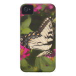 Caja de la casamata del placer de la mariposa Case-Mate iPhone 4 funda