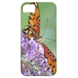 caja de la mota del iPhone 5 iPhone 5 Funda