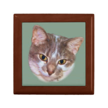 Caja de regalo Amarillo-Observada del gato