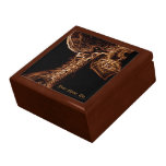 Caja de regalo de la C-espina dorsal de Brown/del 