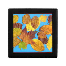 Caja de regalo de las hojas de otoño