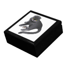 Caja de regalo de los gatos