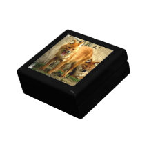 Caja de regalo de los zorros