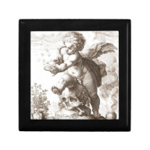 Caja de regalo de Vanitas de la sepia