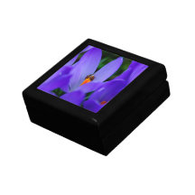 Caja de regalo feliz de la primavera